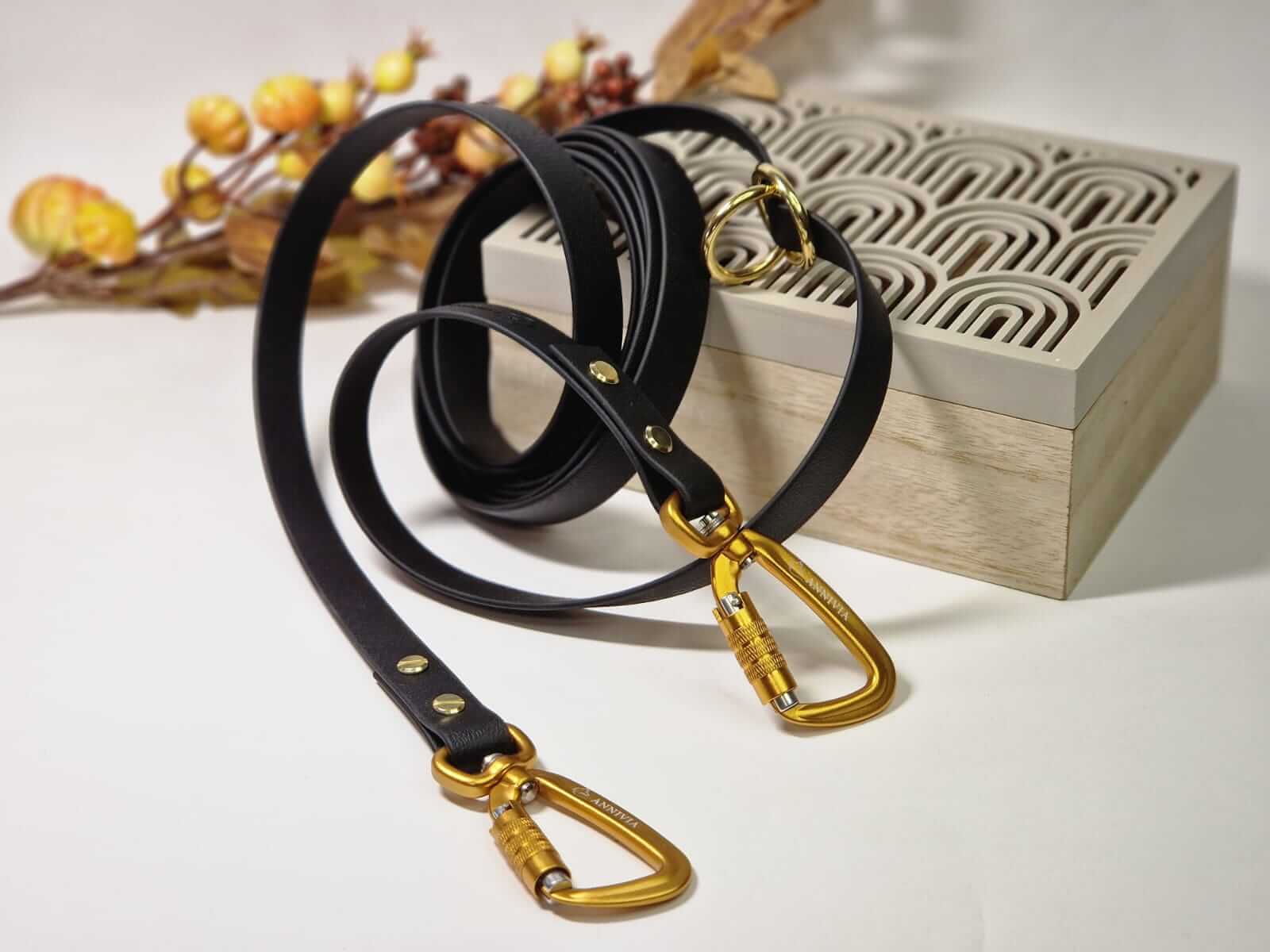 Biothane Long line multifunctional leash - Color choice – Annivia Dog Wear