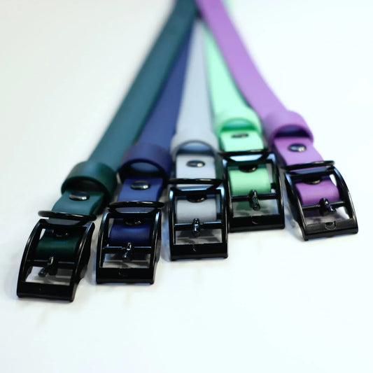 BioThane kakla siksna 19mm, dažādu krāsu izvēle