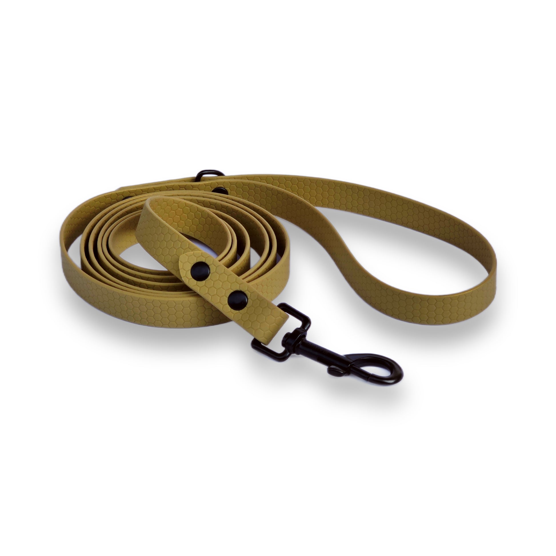 Hexa suņu pavada zelta krāsā, viegla, spēcīga.