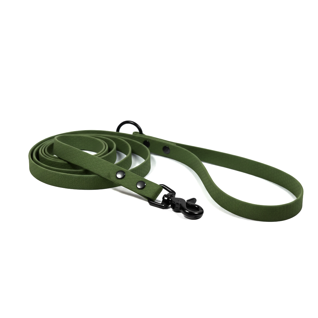 Hexa pavada suņiem, Army green krāsa