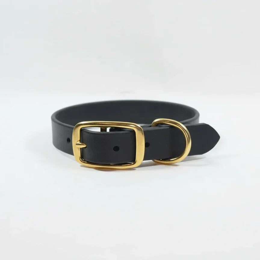 Melna BioThane suņu kakla siksna ar zelta sprādzi