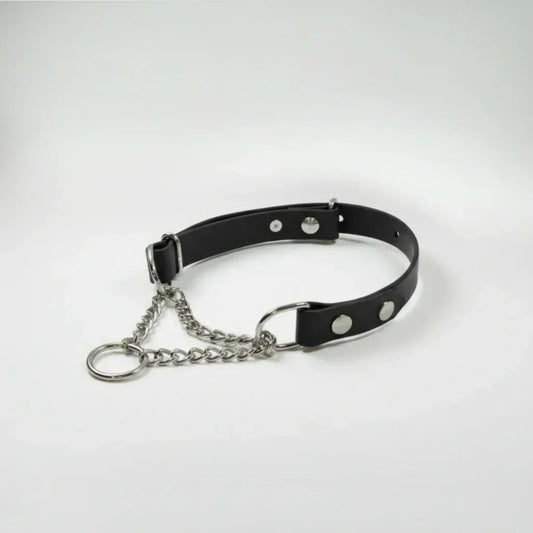 BioThane Martingeila Suņu Kakla Siksna 19mm Black