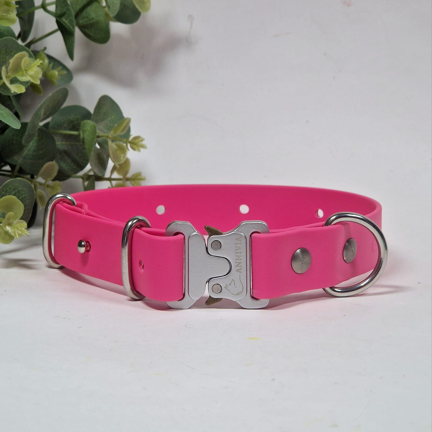 Biothane  elegance suņu kakla siksna