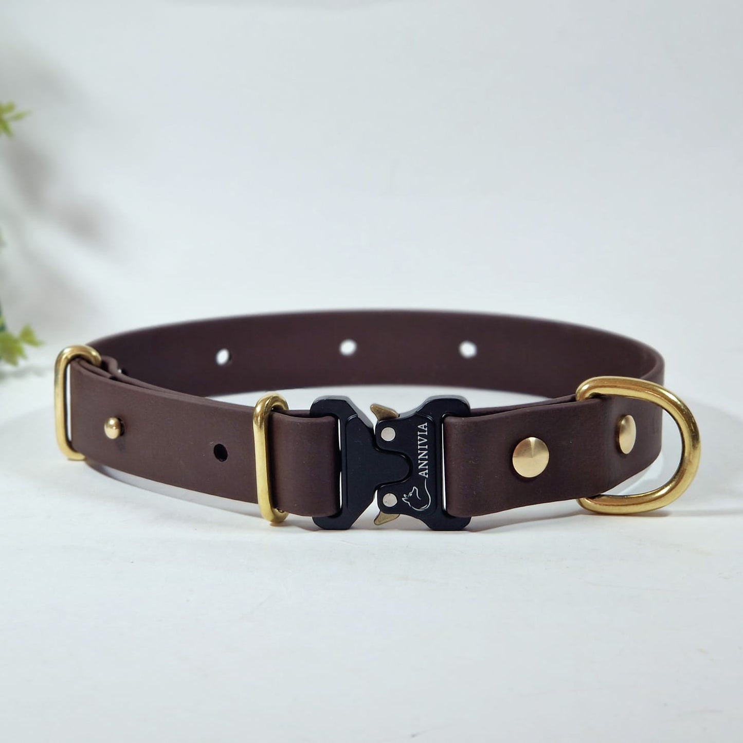 Biothane  elegance suņu kakla siksna