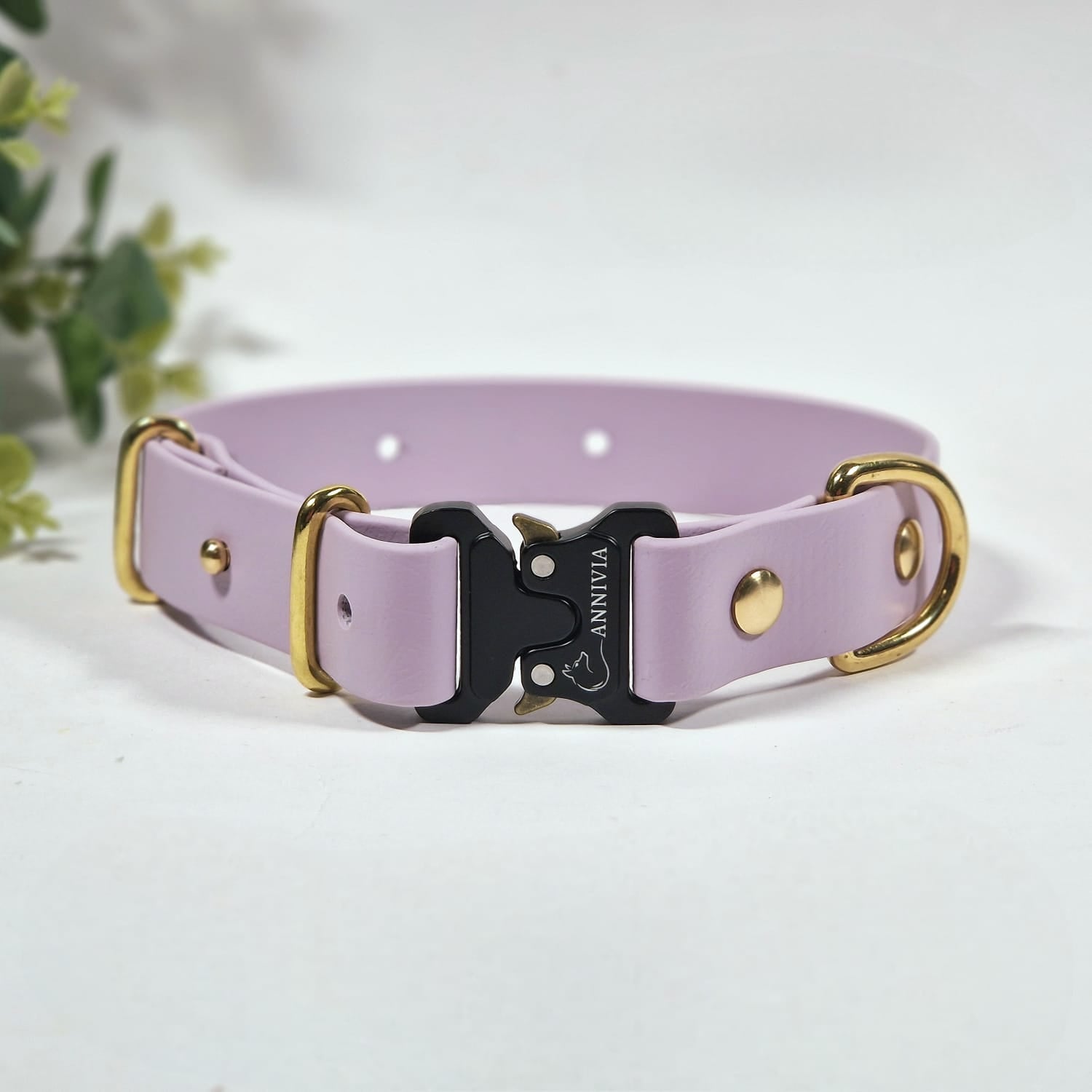 Biothane  elegance suņu kakla siksna