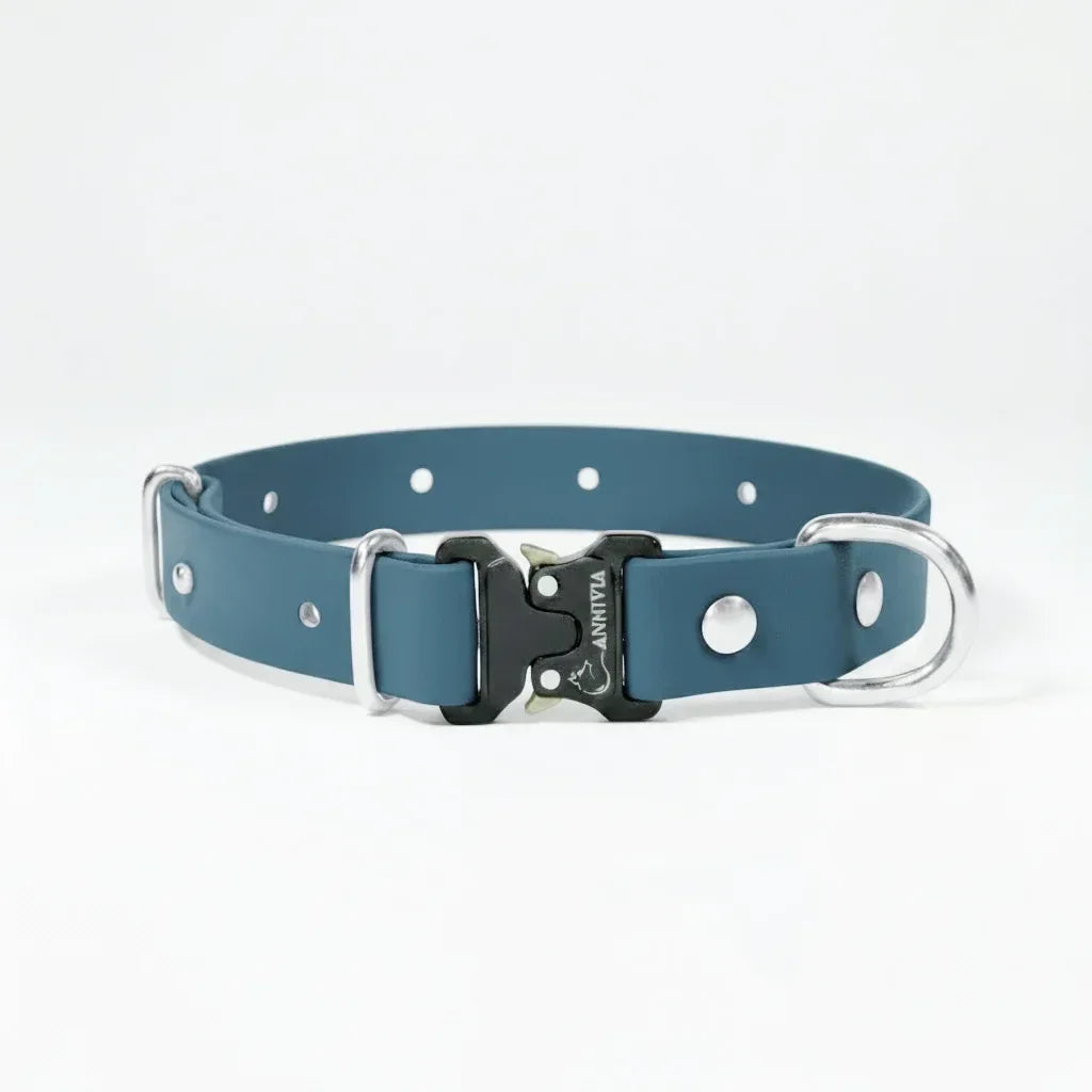 BioThane Elegance Suņu Kakla Siksna 25mm Petrol