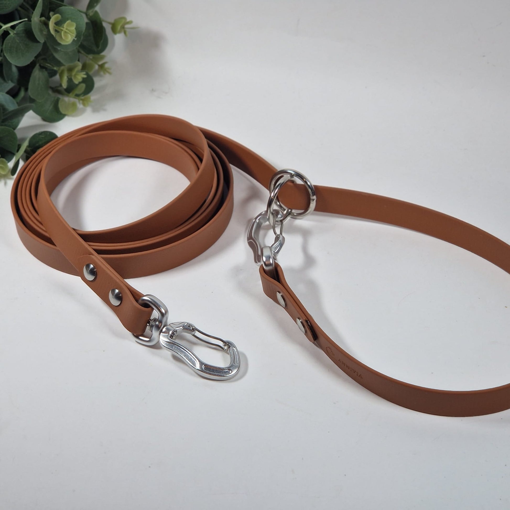 Biothane suņu ar specigm karabīnēm, ūdensizturīga,spēcīga