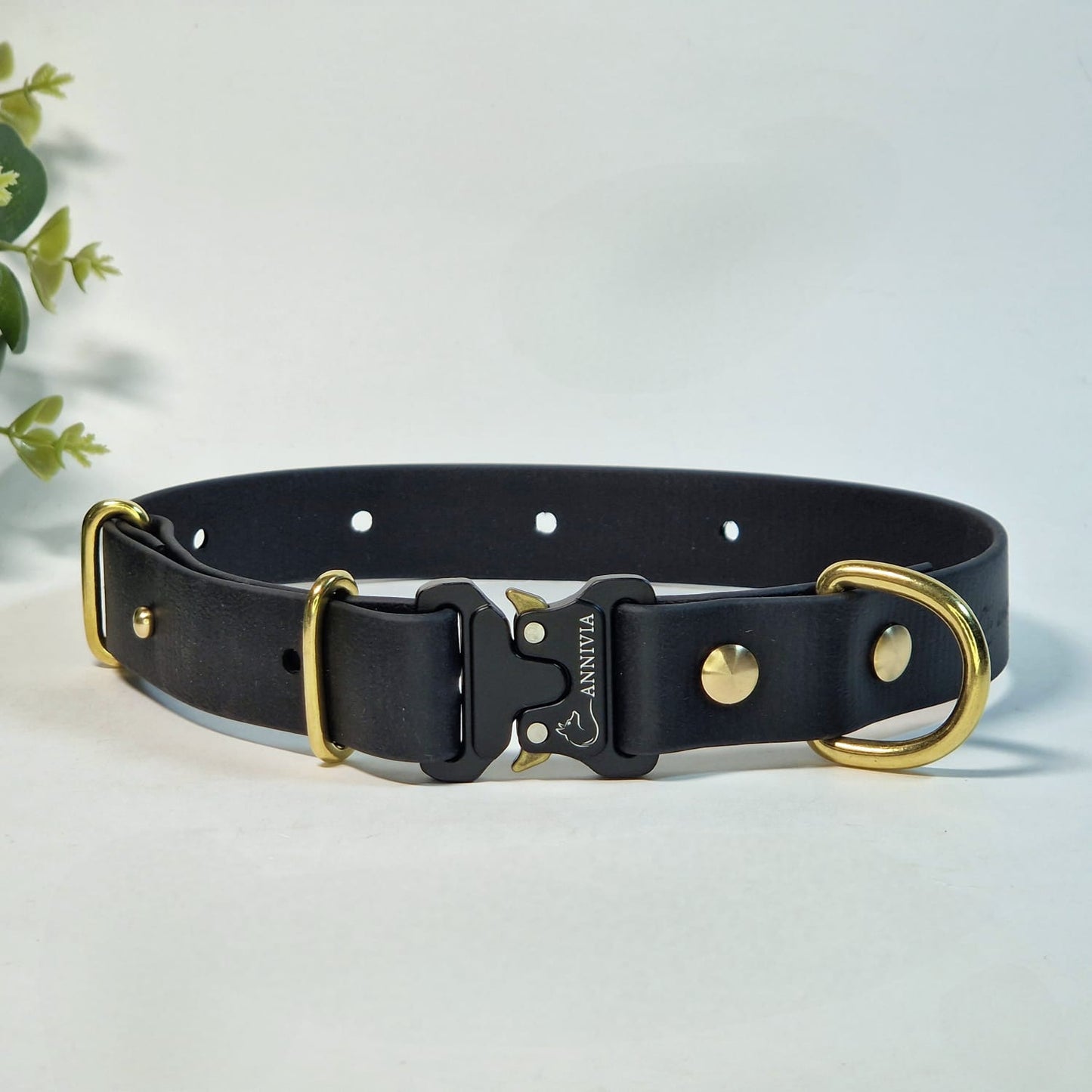 Biothane zelta elegance suņu kakla siksna