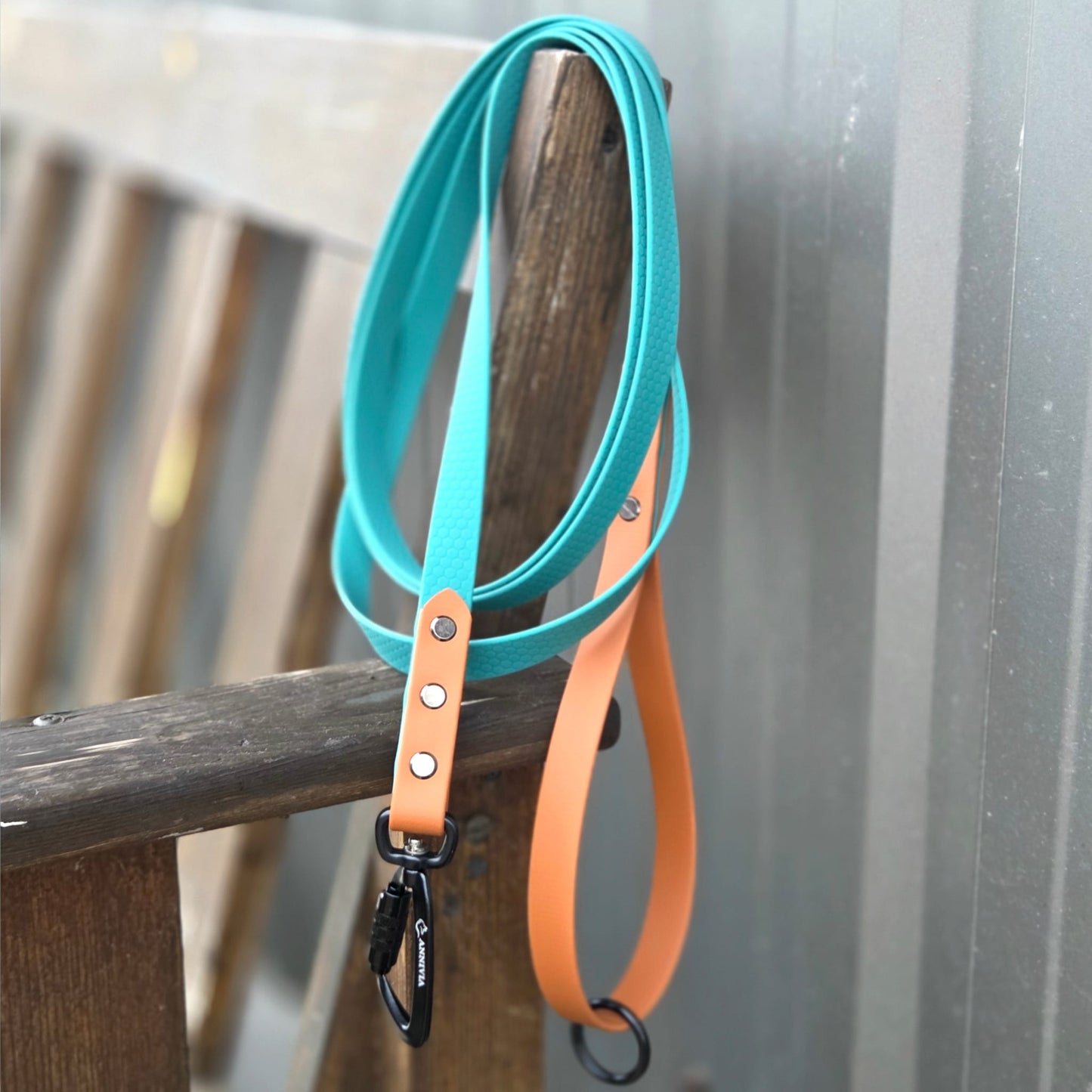 Hexa pavada ar BioThane zaļa krāsā, lietošanas piemērs