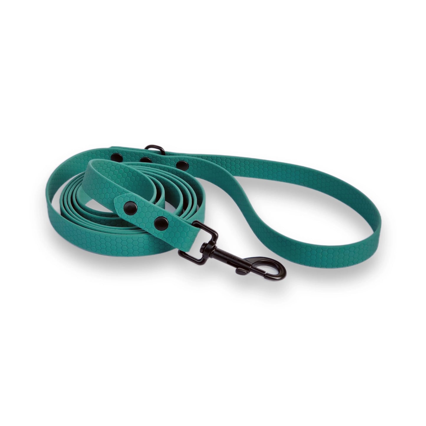 Hexa suņu pavada hunter krāsā, viegla, spēcīga.