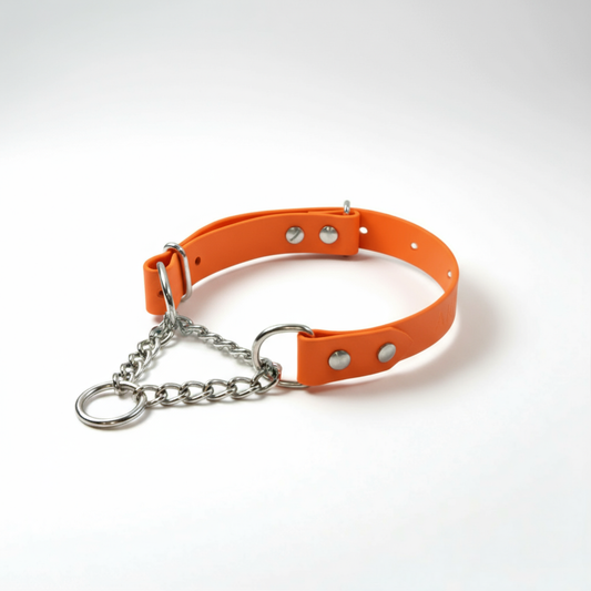 Martingeila Suņu Kakla Siksna - Orange