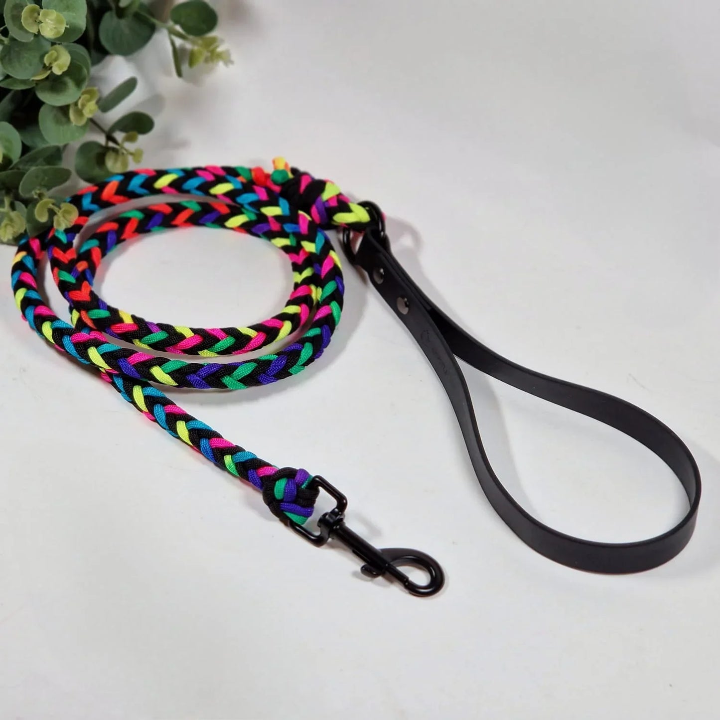 Parakorda pīta pavada varavīksnes ktāsā