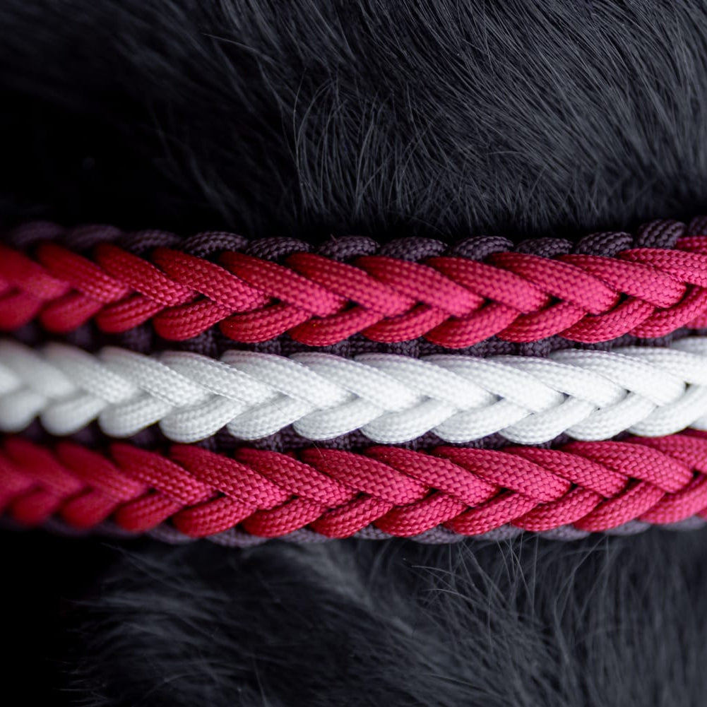 Pīta kakla siksna ar Latvijas simboliku, detaļu skats