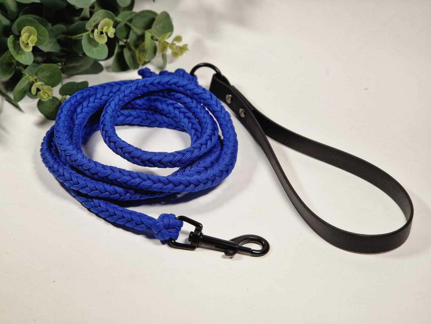 parakorda pīta suņu kakla siksna zilā krāsā