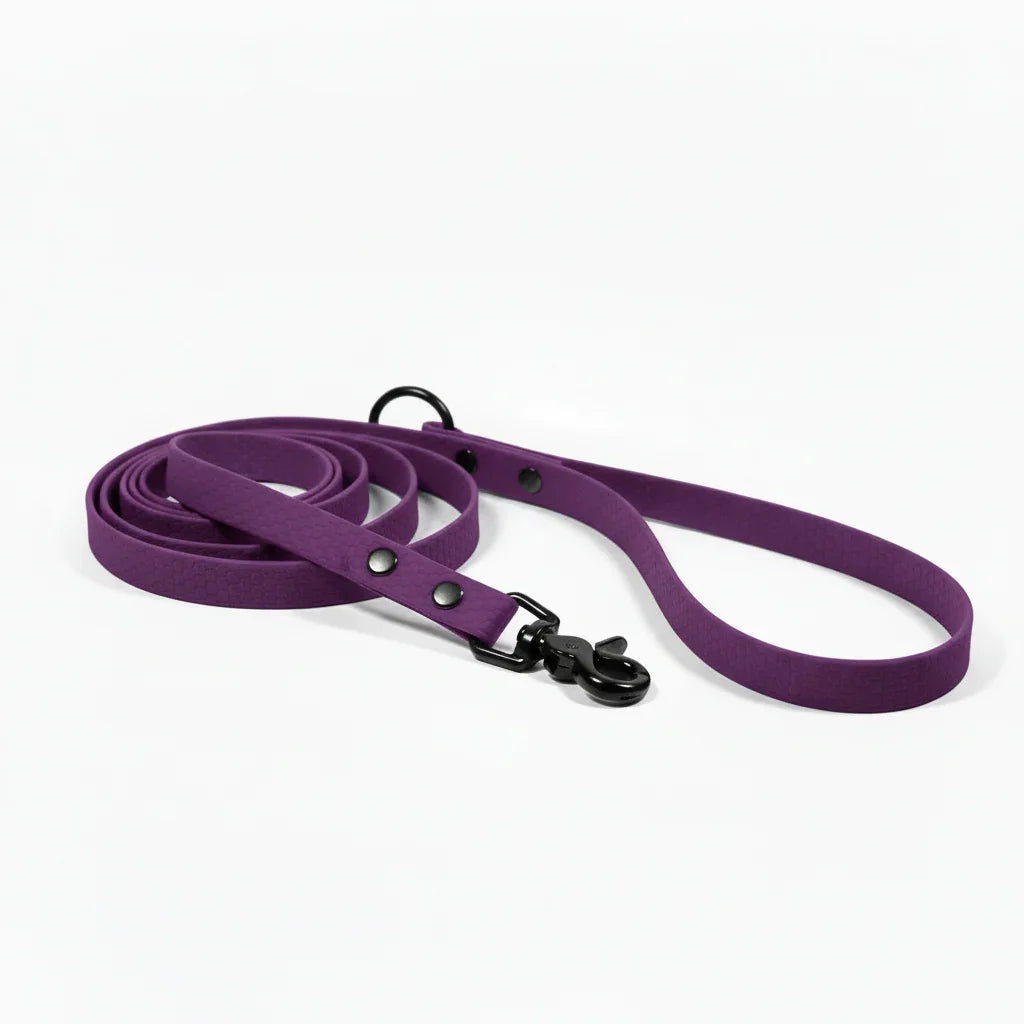 Purple pavada suniem, ūdensizturīga