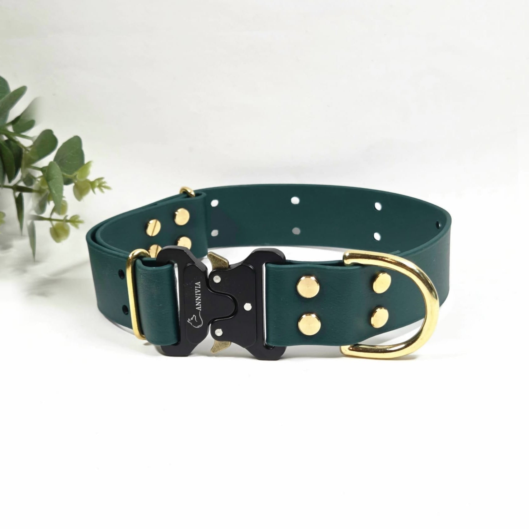 Biothane zelta Elegance suņu kakla siksna 38 mm plata, dark green krāsa.