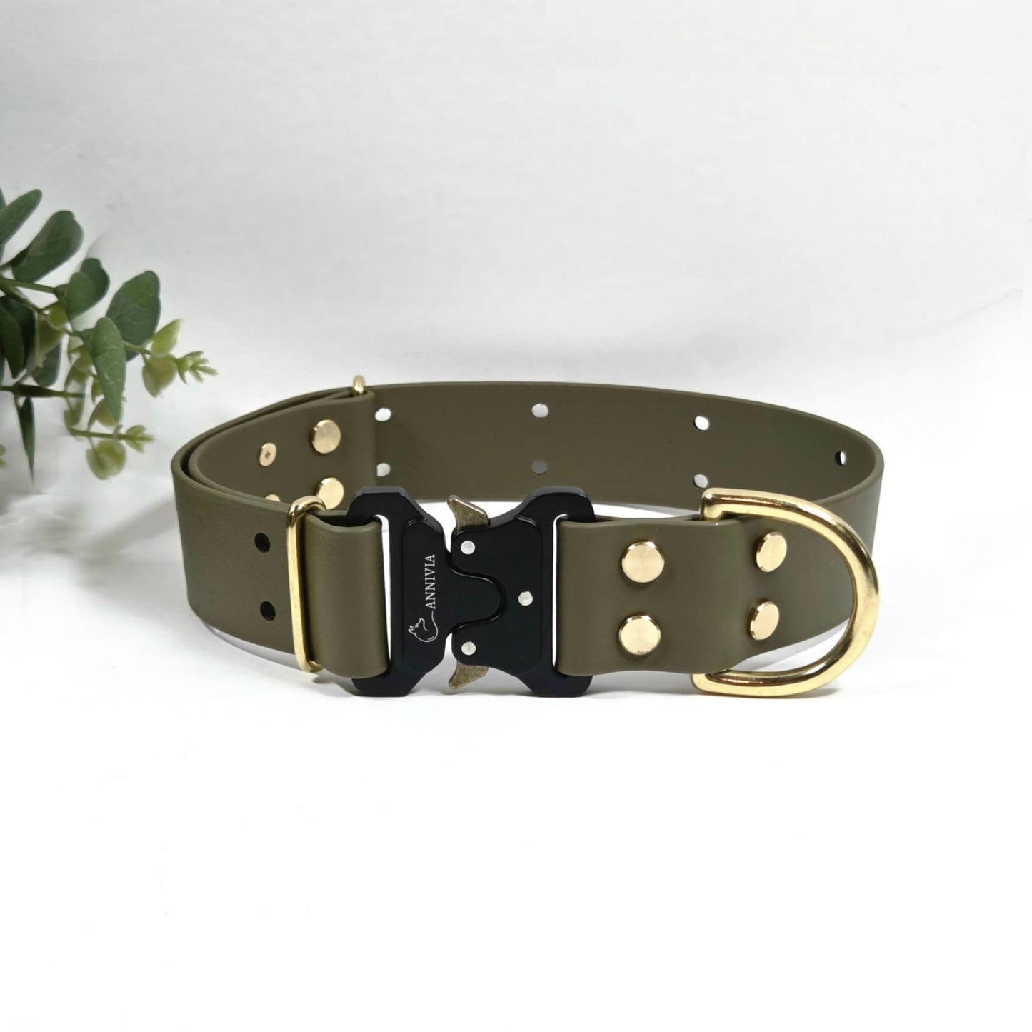 Biothane zelta Elegance suņu kakla siksna 38 mm plata, military olive krāsa.
