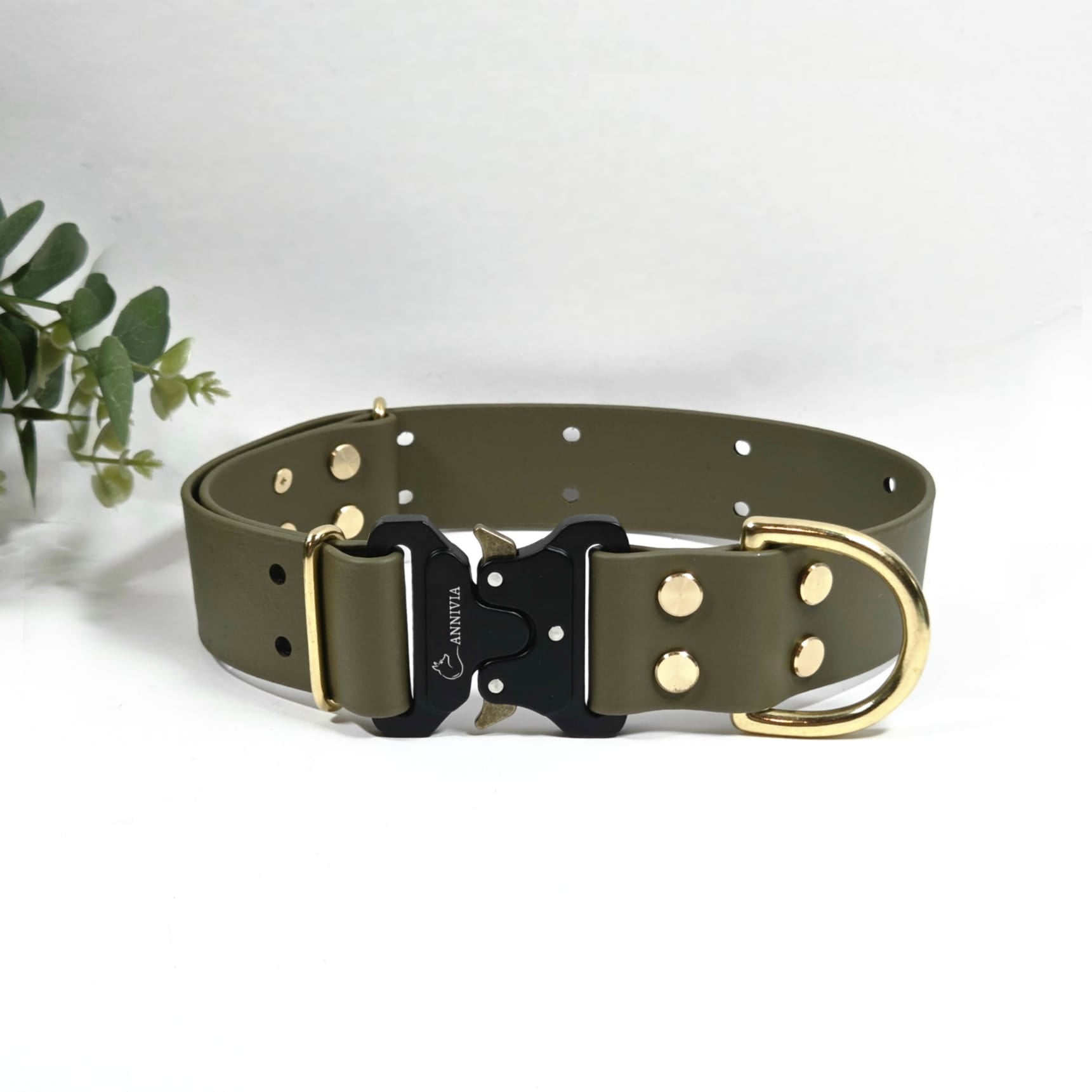 Biothane zelta Elegance suņu kakla siksna 38 mm plata, military olive krāsa.