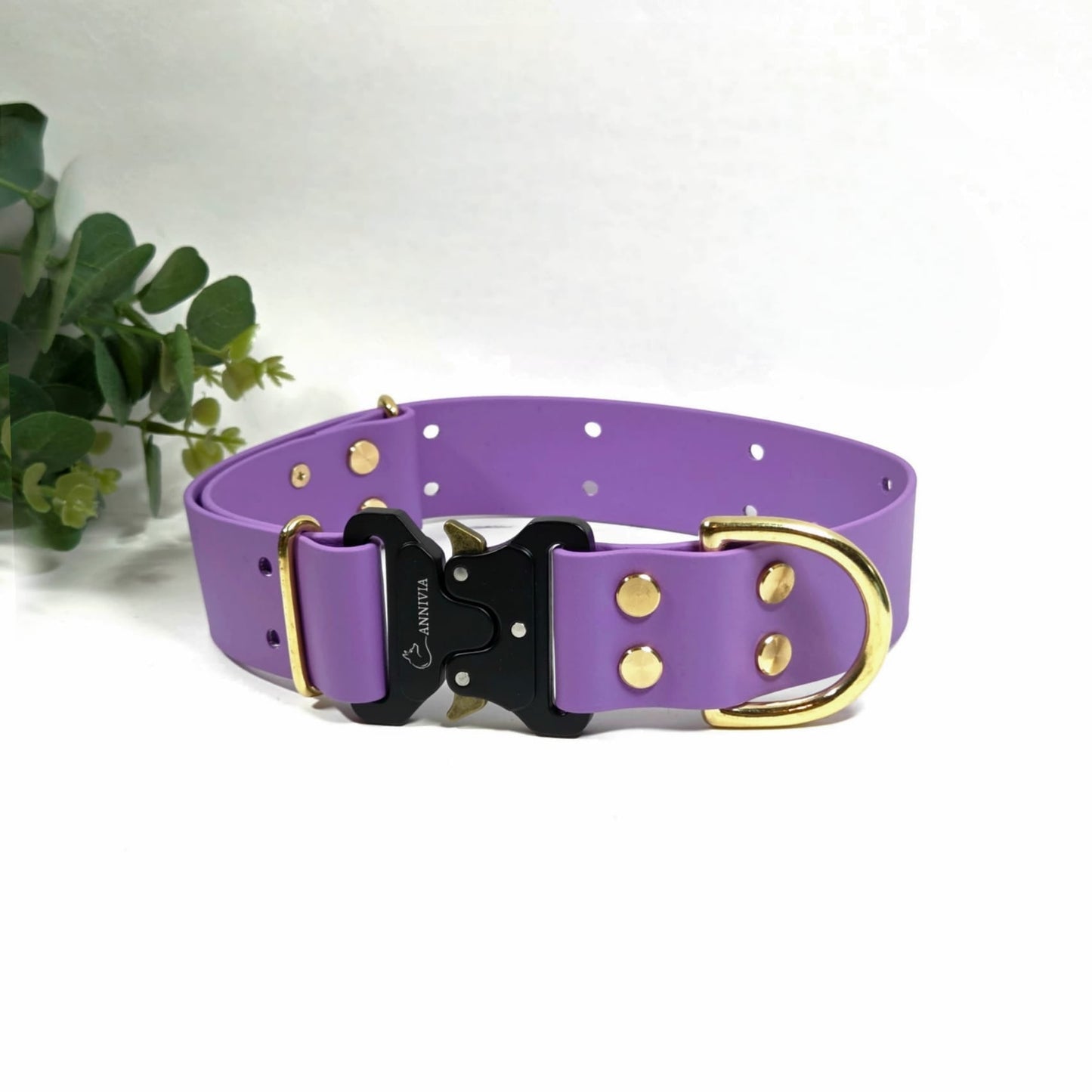 Biothane zelta Elegance suņu kakla siksna 38 mm plata, orchid krāsa.