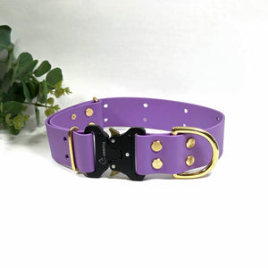 Biothane zelta Elegance suņu kakla siksna 38 mm plata, orchid krāsa.