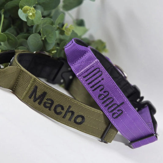 Suņu kakla siksna comfort line ar izšūšanu