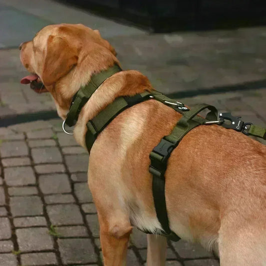 Comfortline suņu krūšu siksna, 4 cm plata, kvalitatīva,spēcīga