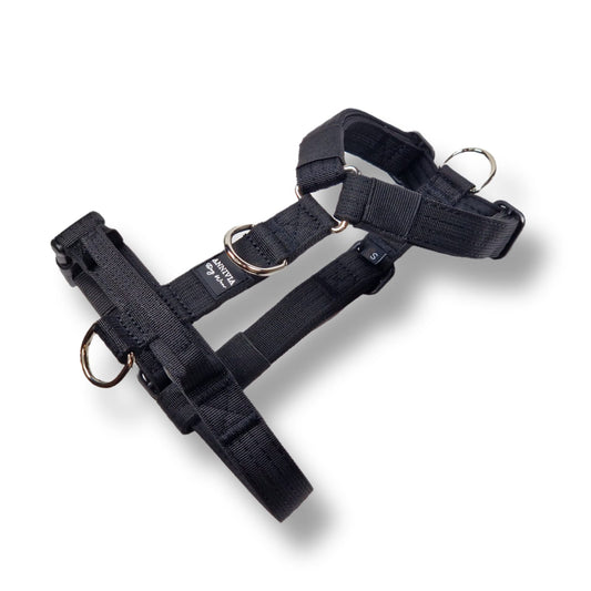 Comfort line mini suņu krūšu siksna