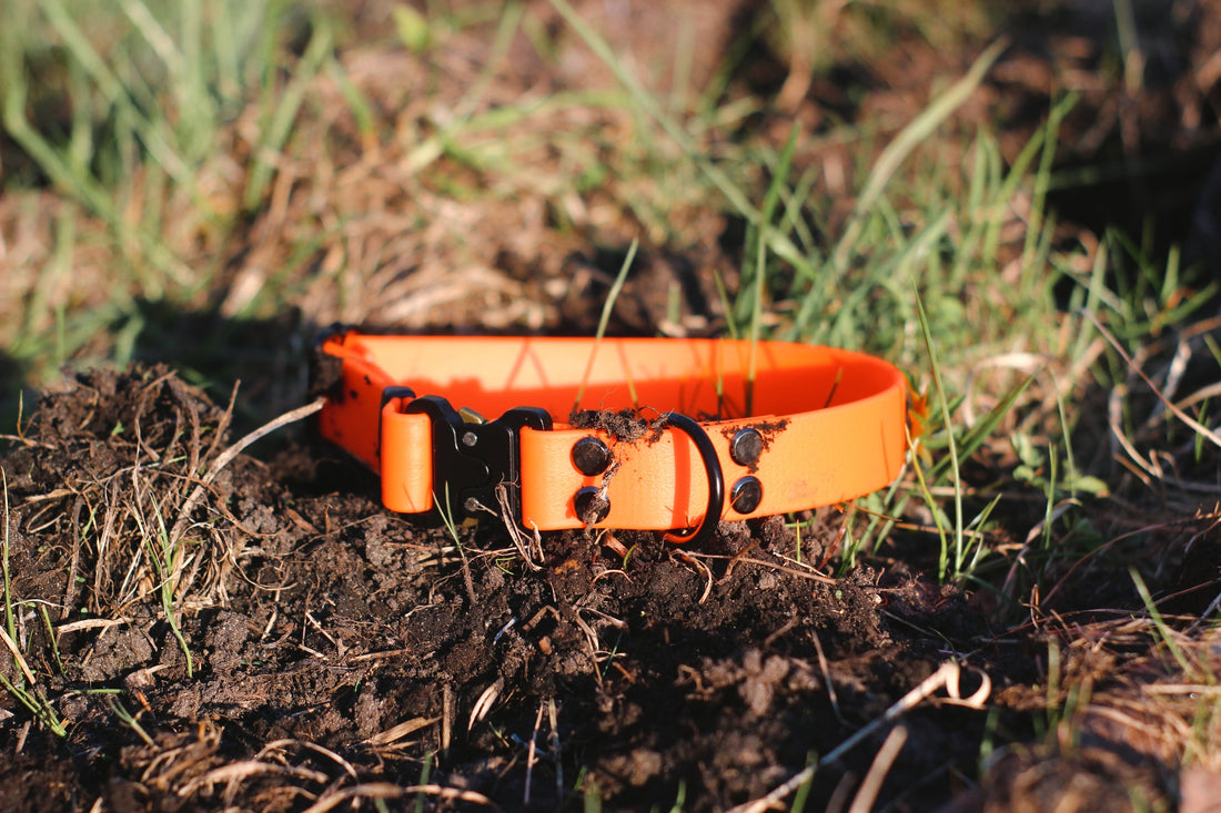 BioThane Cobra collar