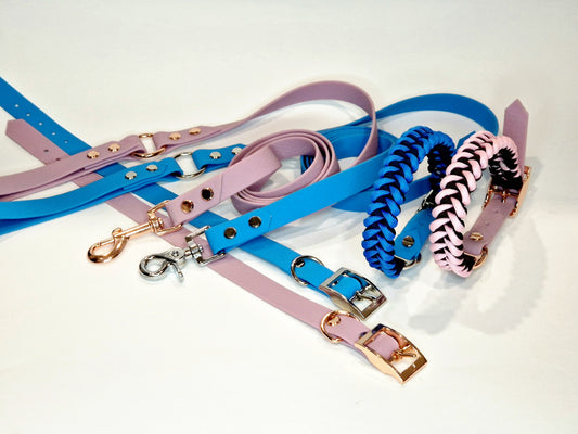 Puppies starter set with 20% discount