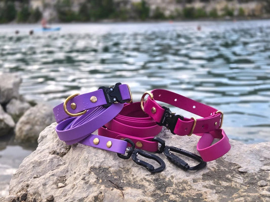 Kāpēc BioThane ir ideāls materiāls? 🐾 - Annivia Dog Wear 