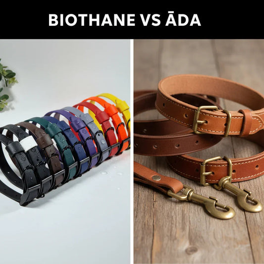 BioThane un Ādas Kakla Siksnas: Kāpēc BioThane ir labāka izvēle? - Annivia Dog Wear 