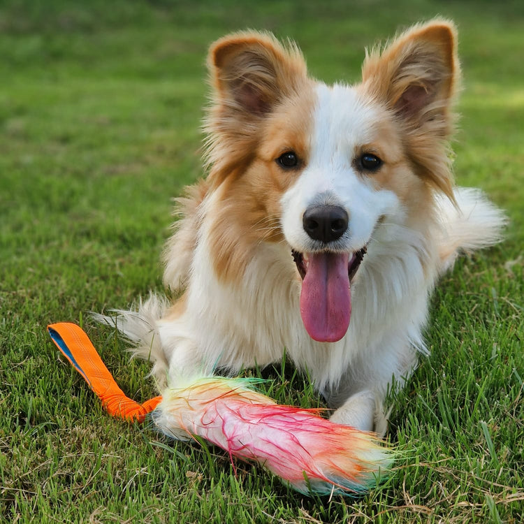 Happy Dog Toys
