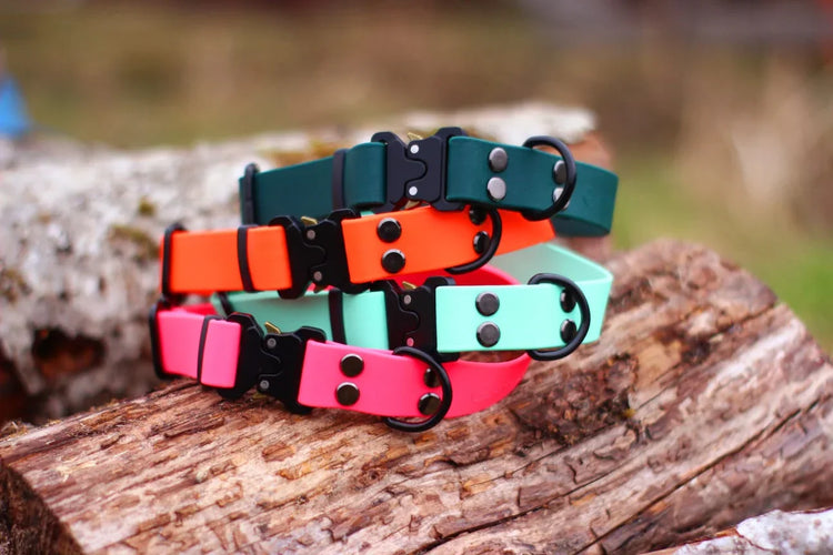 Ūdensizturīgas Suņu Kakla Siksnas | BioThane & Hexa - Annivia Dog Wear 