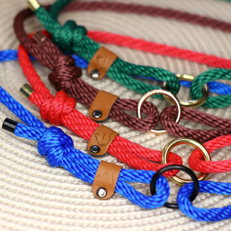 Dog ID collars