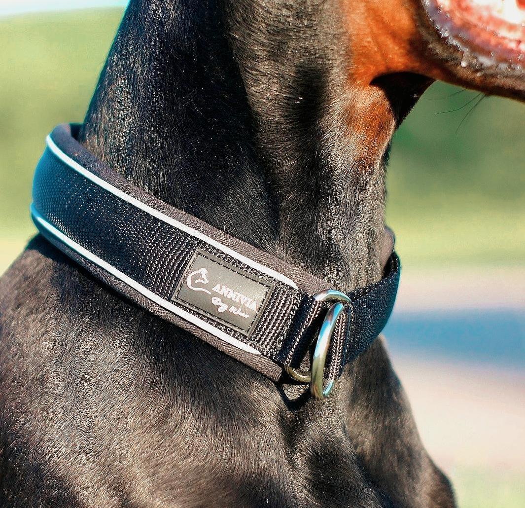 Īpaši Mīksta Suņu Kakla Siksna 40mm | COMFORT LINE - Annivia Dog Wear 