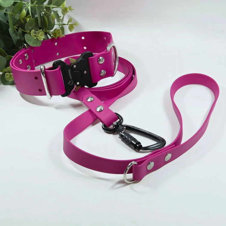 Sudraba Elegance - Annivia Dog Wear 