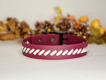Latvia - Biothane ws paracord dog collar