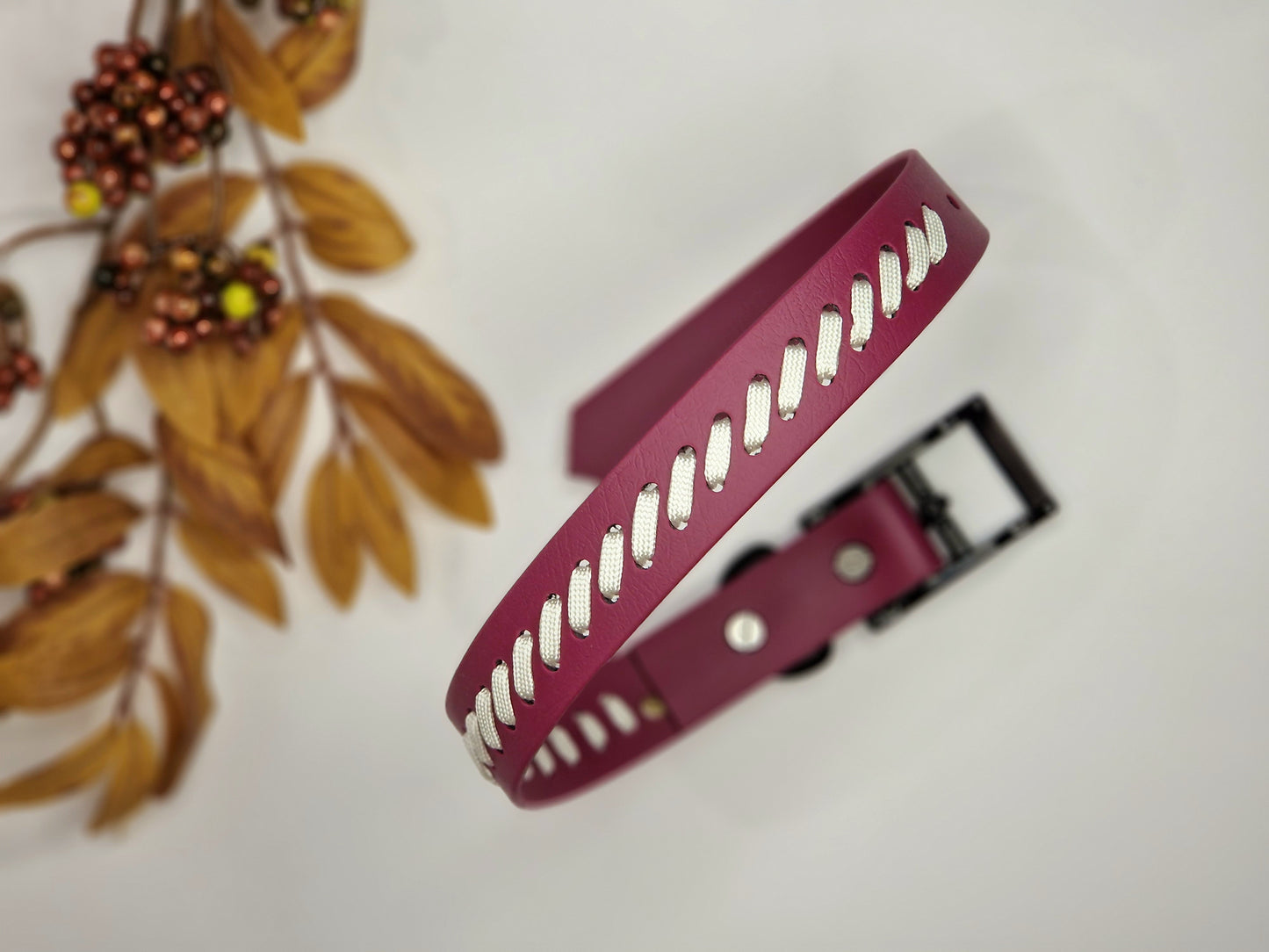 Latvia - Biothane ws paracord dog collar