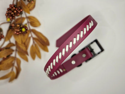 Latvia - Biothane ws paracord dog collar