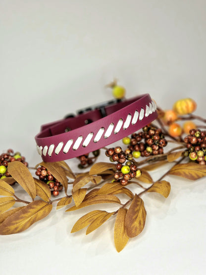 Latvia - Biothane ws paracord dog collar