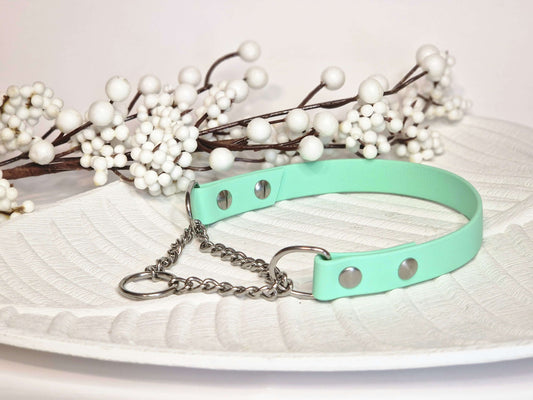 Biothane Stainless Steel martingale dog collar (20mm wide) - Color choice