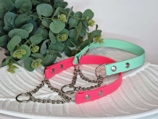 Biothane Stainless Steel martingale dog collar (20mm wide) - Color choice