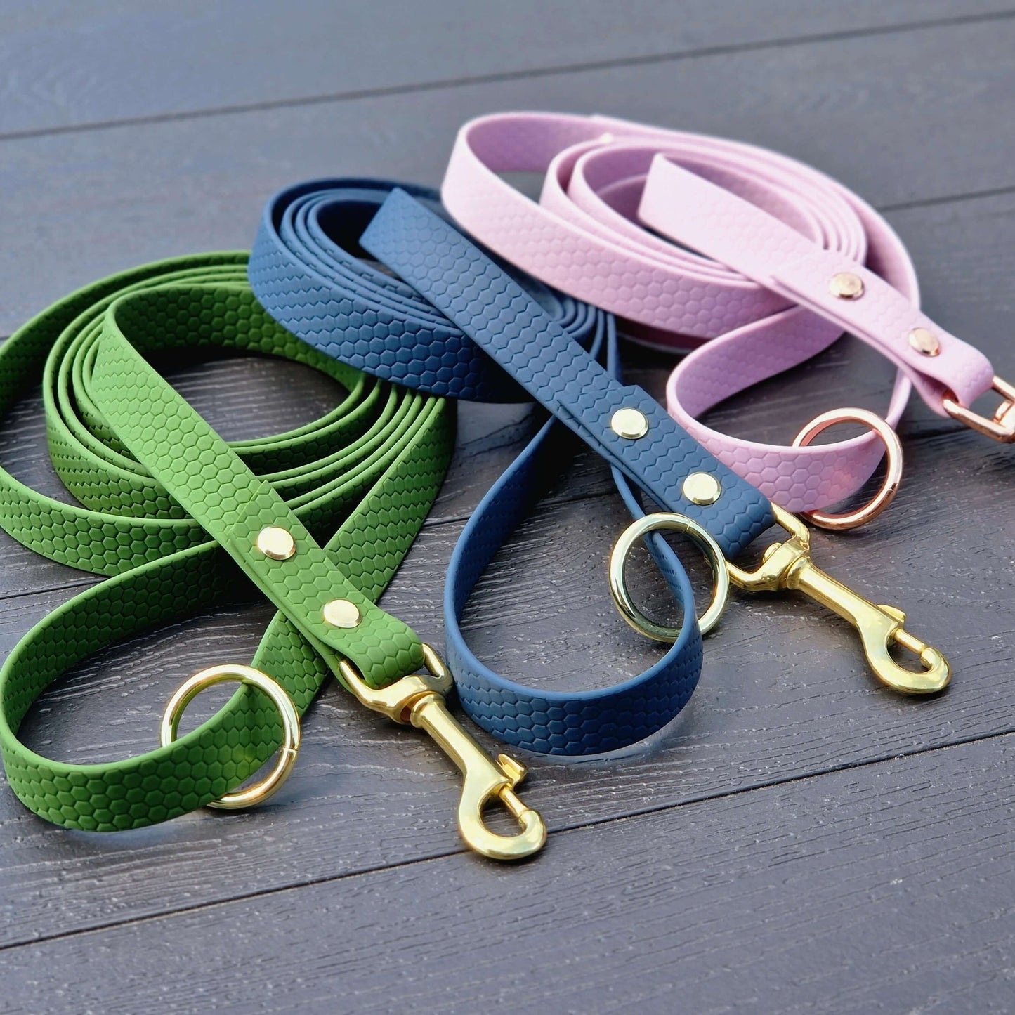 Hexa Coated webbing dog leash - Color choice