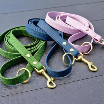 Hexa Coated webbing dog leash - Color choice