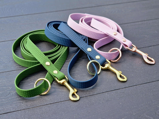 Hexa Coated webbing dog leash - Color choice