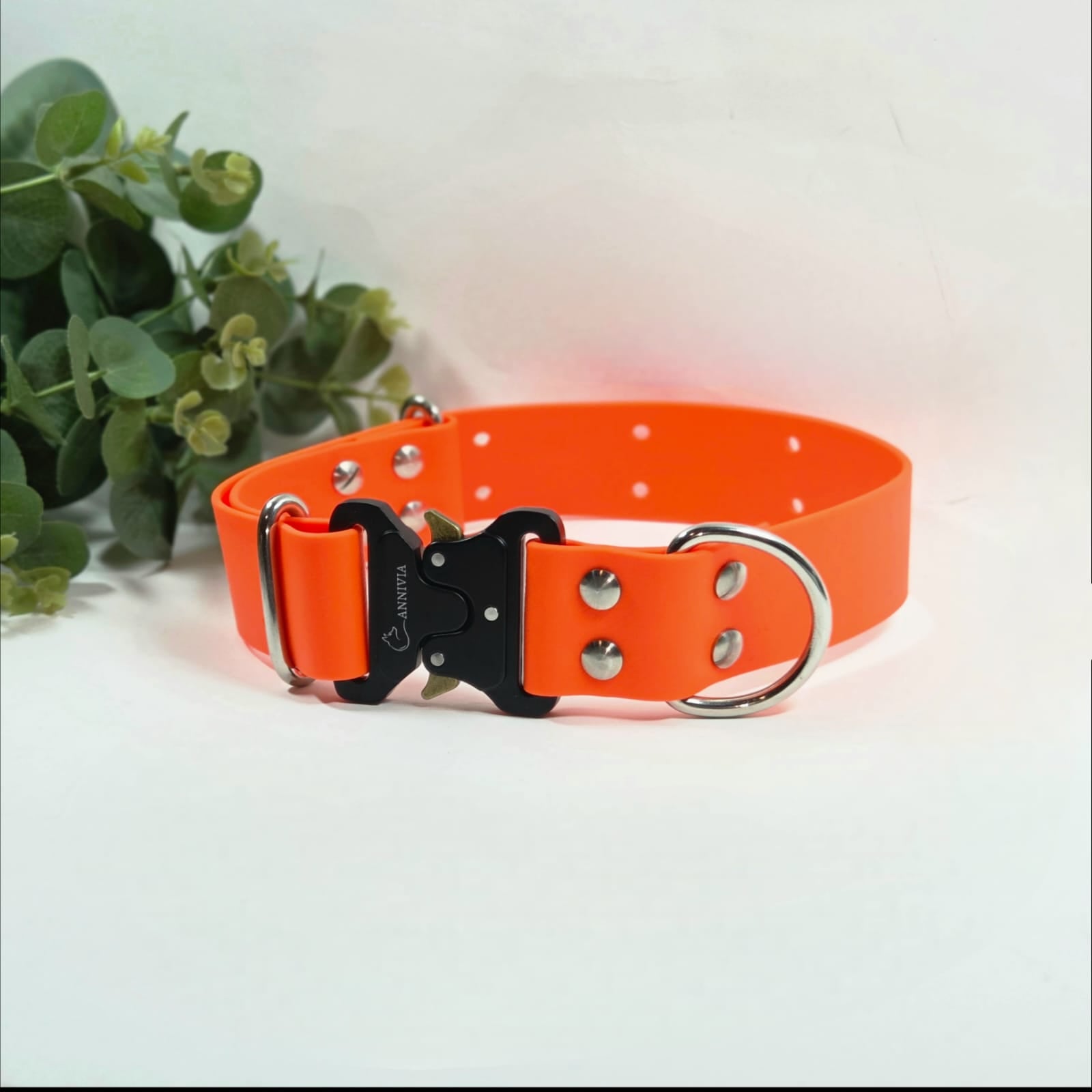 Biothane suņu kakla siksna Maxi Elegance