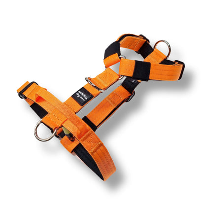 Mini Comfort Line suņu krūšu siksna - Oranža