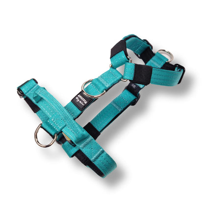 Mini Comfort Line dog Harness - Turquoise
