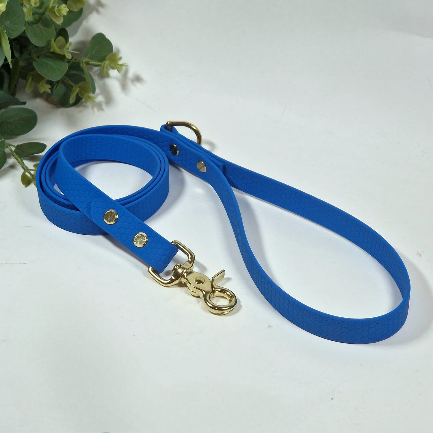 Hexa Coated webbing dog leash - Color choice