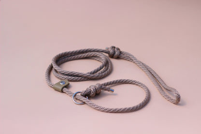 Slip on dog show leash - Color choice